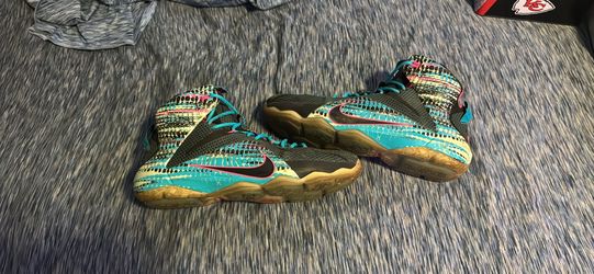 LeBron 12 “23 Chromosomes”