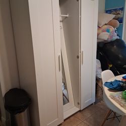 Storage/ Closet Unit 