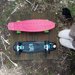 2 22" Skateboards