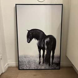 Horse picture, wall decor
