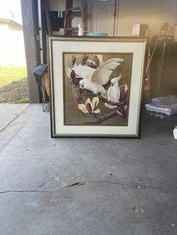 Yellow/white Macaw Artwork 