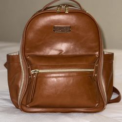 Itzy Ritzy Diaper Bag