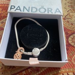 Pandora Bracelet 