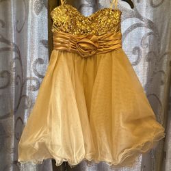 Woman/Girls Formal Dress