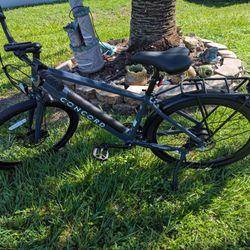 Electric Bike