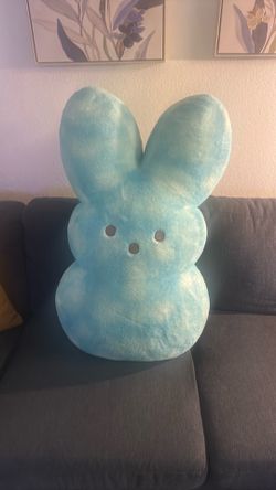 Bunny pillow for $15