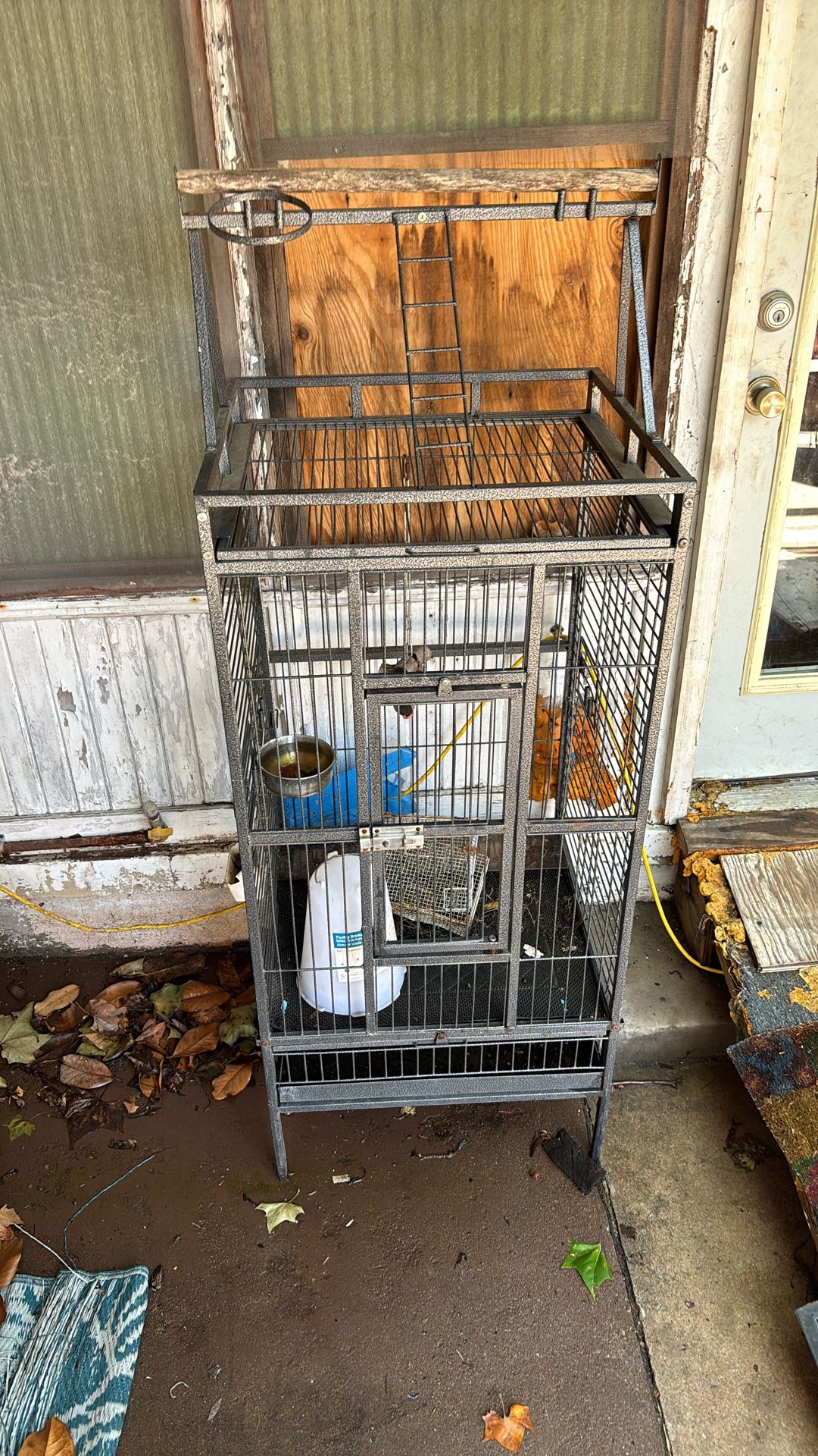 Bird Cage