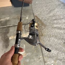 Small Bait Rod