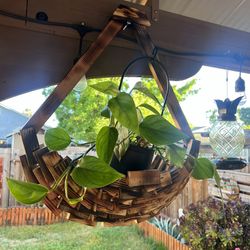 Cool Hanging Planters 