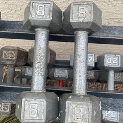 8lb Hex Iron Dumbbell Set Weights 