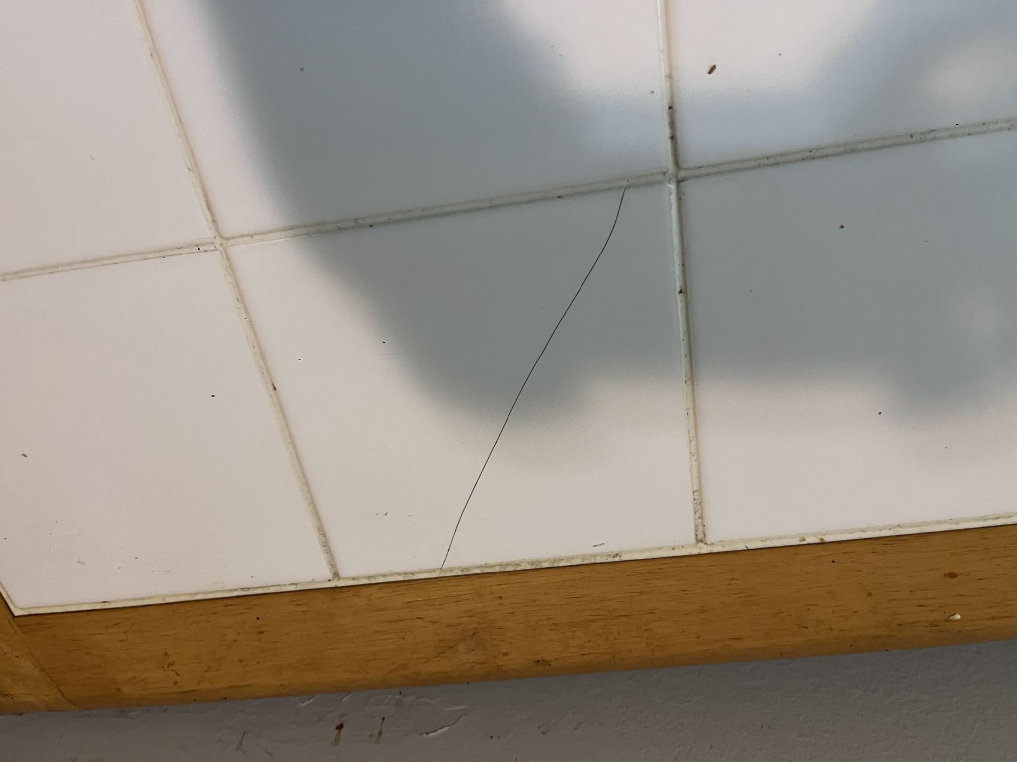Kitchen Table