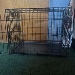 Dog Crate 