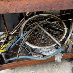 American Schwann Cruiser