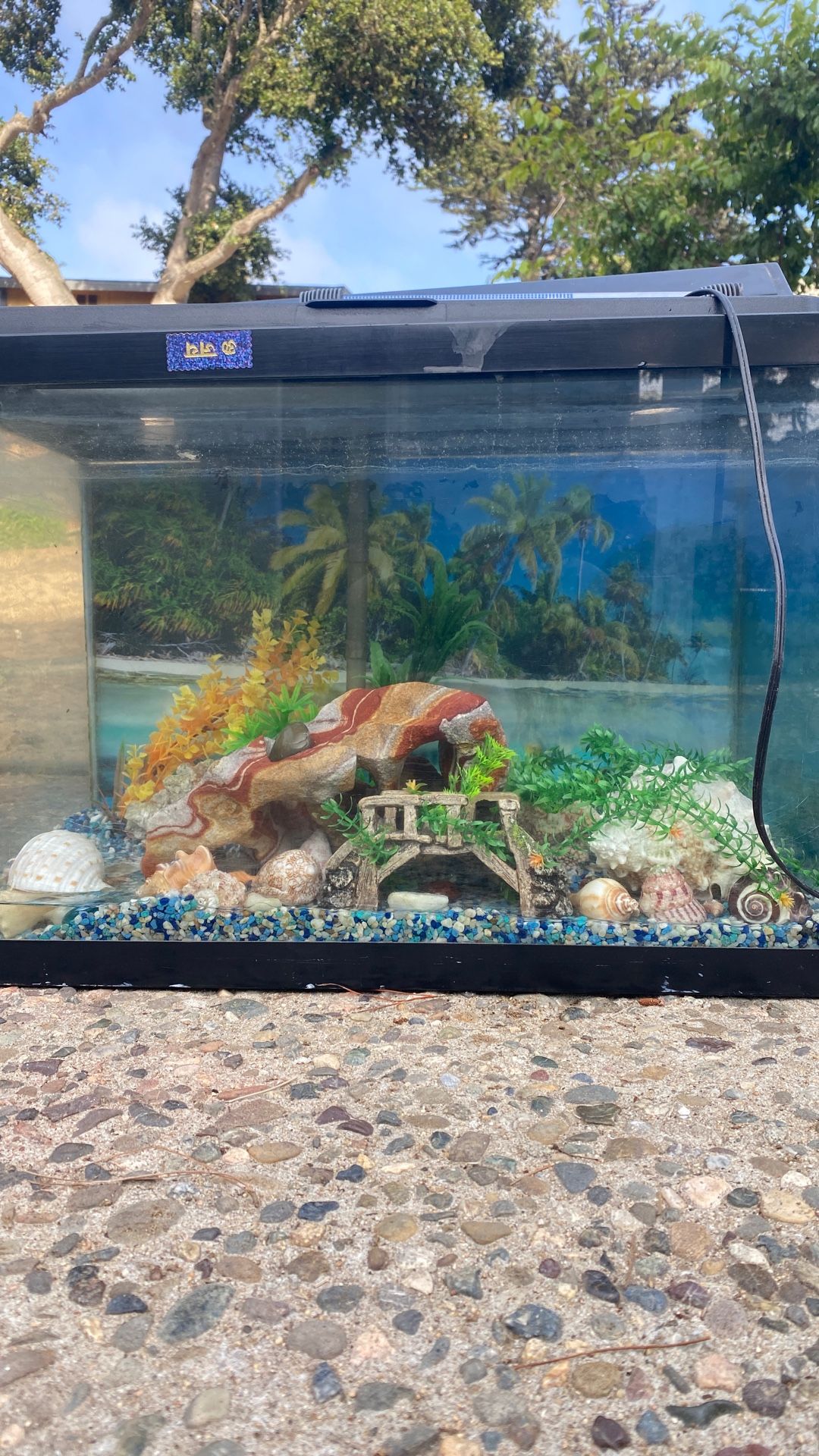 Fish tank for Sale Everything Included For Beginner Friendly