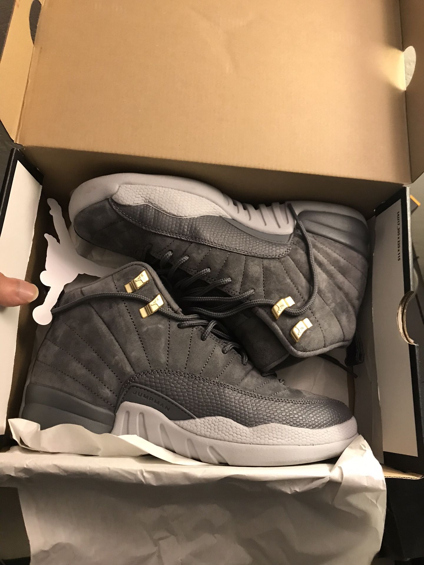 Air Jordan 12s