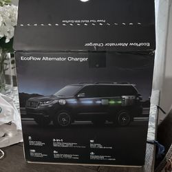 Alternator charger