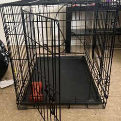 Dog Caged 
