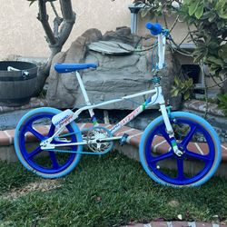 1984 Haro master
