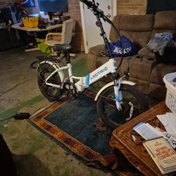 Lectric Bike