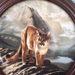 Collectible Plate "The Cougar"