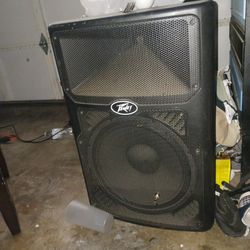 Pair Peavey 15 Pvx Series
