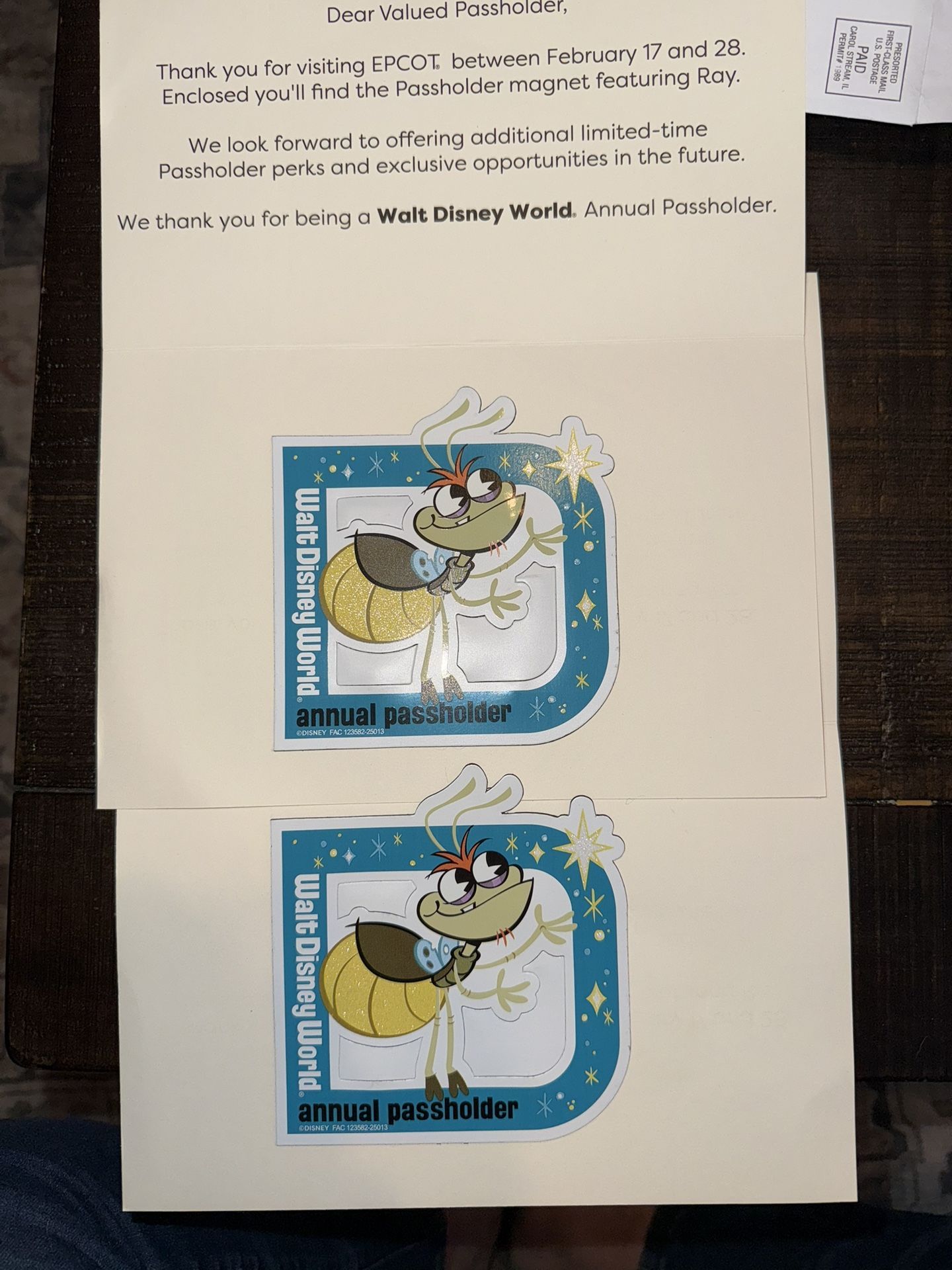 Disney Passholder Magnets - Ray