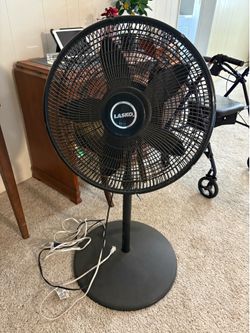 Large Round Fan