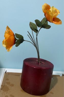 Giant Cranberry 2-Wick Candle! This Candle is HUGE! Great Accent Piece for a Red Room!