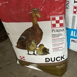 Bag Of Duck Food 