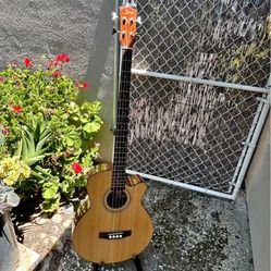Beautiful 😻 Acoustic Bass Guitar 🎸  4 String Made In  USA