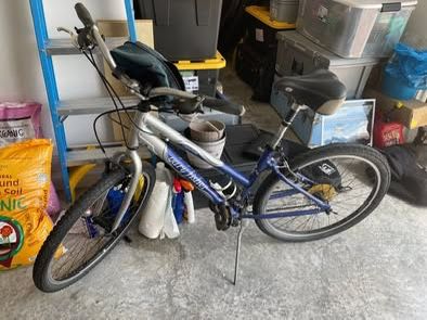 Gary Fischer Capitola Silver Series Cruising Bike For Sale
