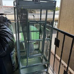 Bird Cage 