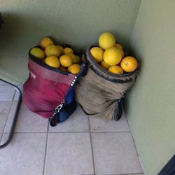 Morral De 80 Libras De Naranja / 80 Pound Bag Of Oranges