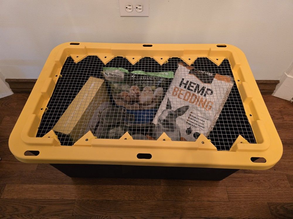 Chick Brooder Set