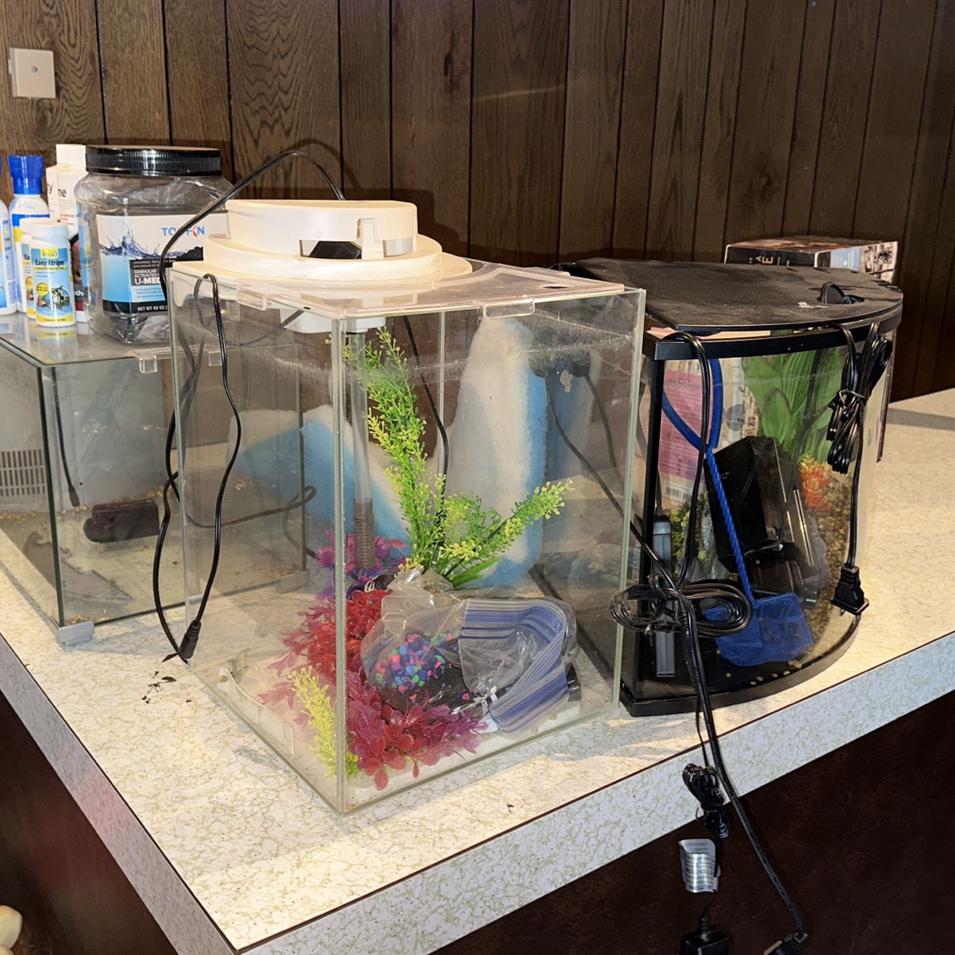 fish tanks and supplies