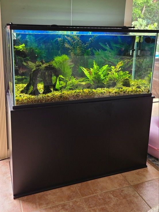 70 Gallon Fish Tank & Stand + Accessories