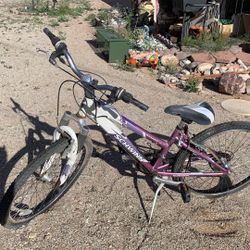 18 zigbee inch ranger cycle