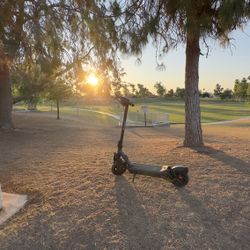Segway Max G3 