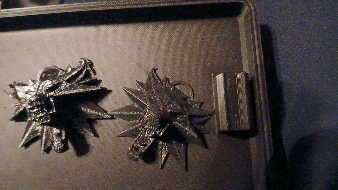 Witcher Medallion