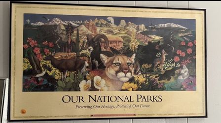 National Parks Montage Poster
