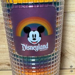New 2024 Starbucks Disneyland Disney Pride Collection Venti Tumbler/Straw 24 oz