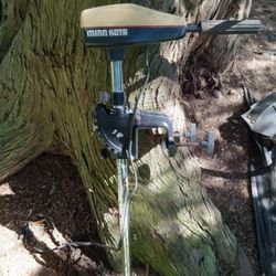 Minn Kota Trolling Motor
