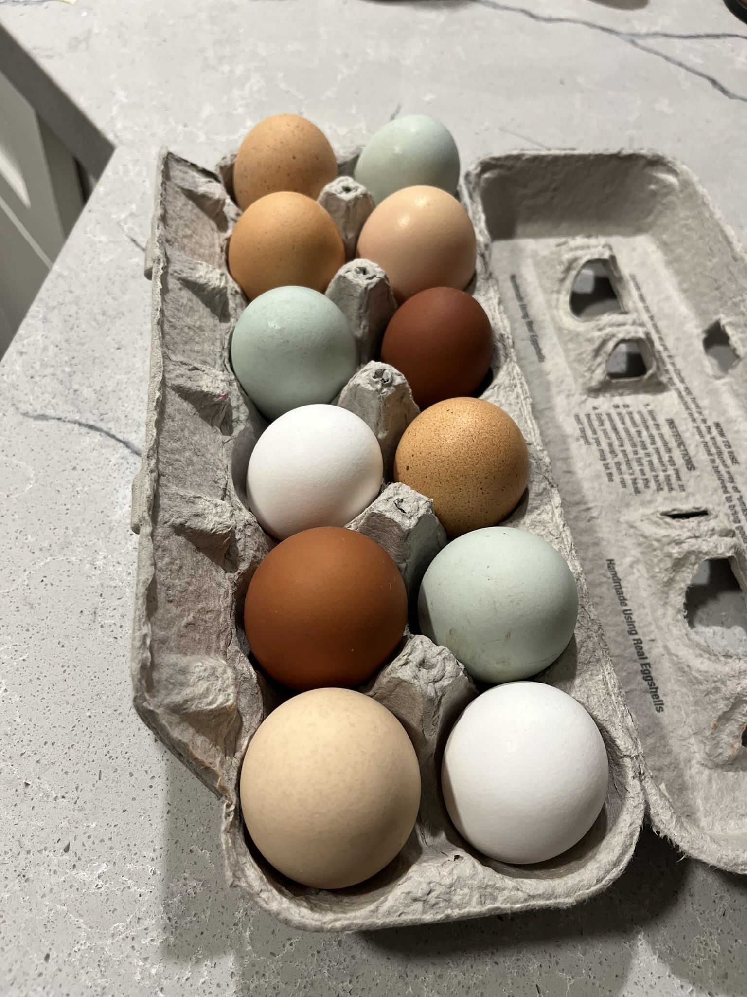 Fresh eggs 