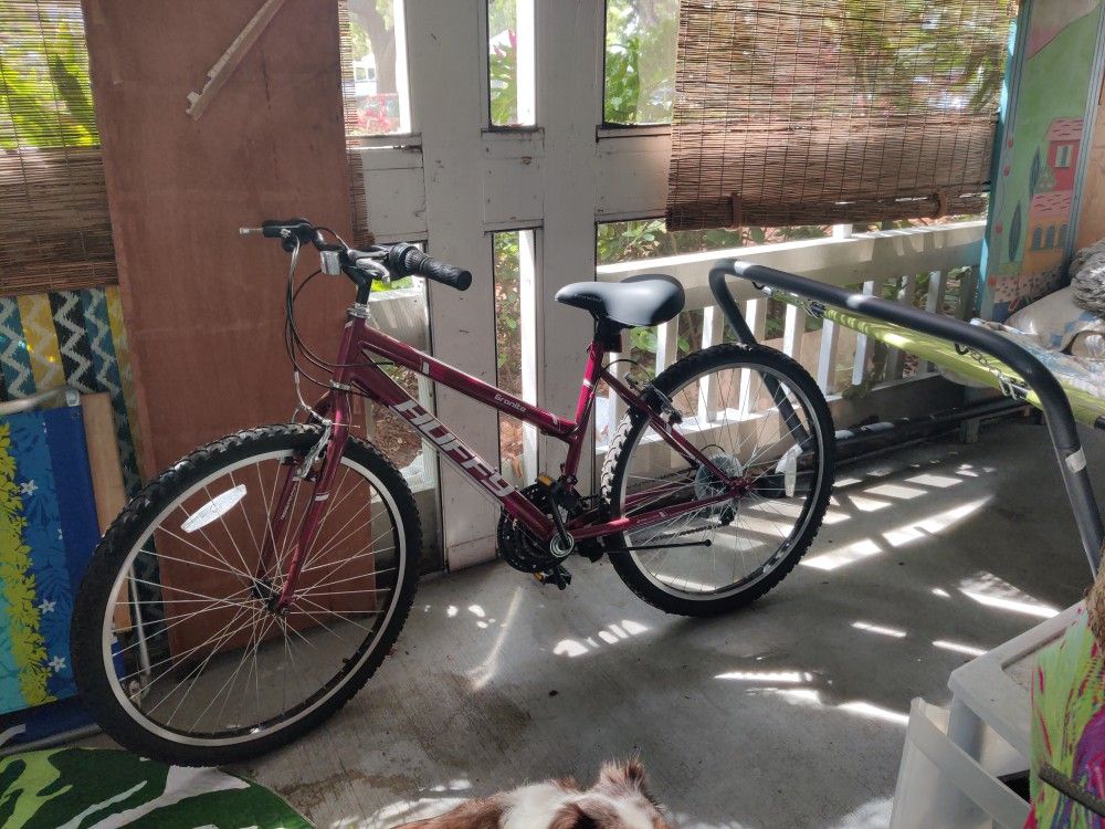 Girls Bike