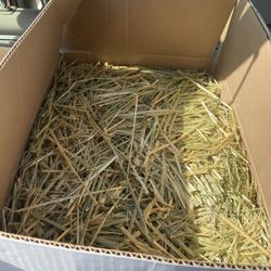 Oat hay -20lb