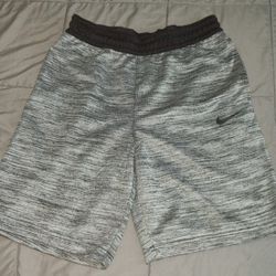 Nike Dri FIT Shorts
