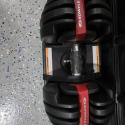 Bowflex Select Tech 552 Weight Set