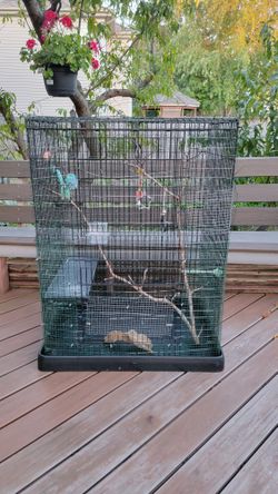Large, cage.