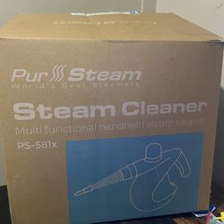 Pure Steam Steamer 