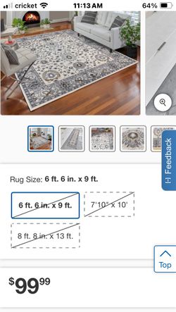 Brio Area Rug 6’6”x9’ Paisley 